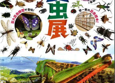 鳥取県立博物館 昆虫展にて、3DGS技術を展示いただきました