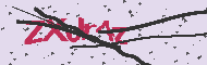 Captcha認証コード