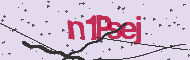 Captcha認証コード